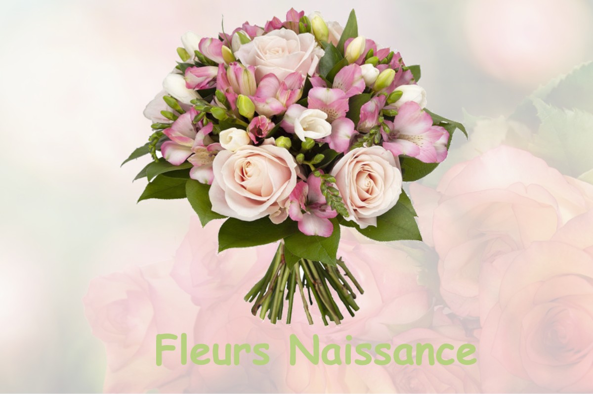 fleurs naissance SAINT-FRAJOU