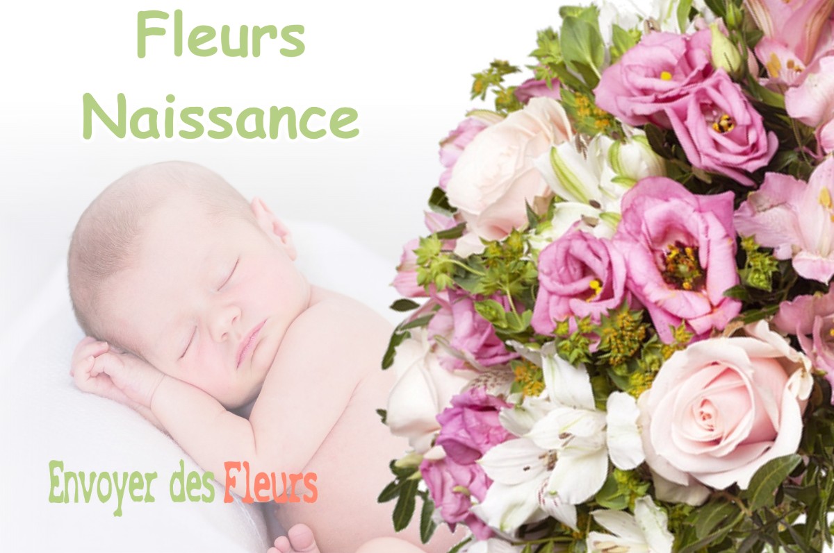 lIVRAISON FLEURS NAISSANCE à SAINT-FRAJOU